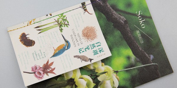 有靈魂的宣傳畫冊就應(yīng)該這樣設(shè)計(jì)！-和印愛歐圖文